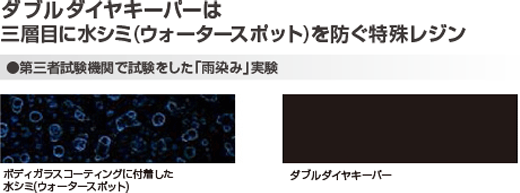 p_ddiamond02 ダブルダイヤキーパーの特殊レジン
